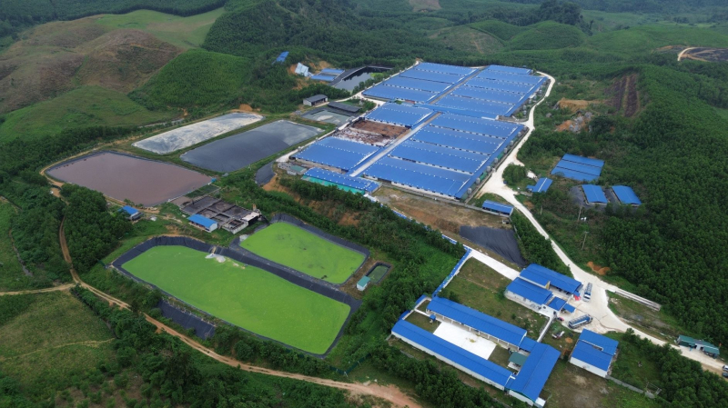 Thanh Hóa: Yêu cầu chủ trại lợn ASEAN xử lý dứt điểm mùi hôi phát tán ra môi trường -0