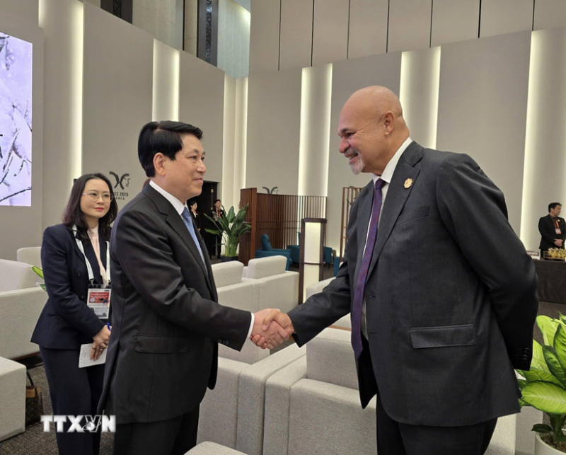 Chủ tịch nước Lương Cường gặp lãnh đạo một số thành viên APEC -0