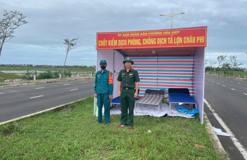 O secție estică a provinciei Dak Lak a anunțat pesta porcină africană și a înființat imediat 5 puncte de control al carantinei -0