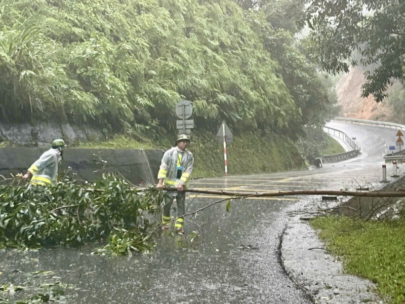 Dussintals patienter fördes omedelbart till akutmottagningen av polisen, många trafikleder var överbelastade och lamslagna -1