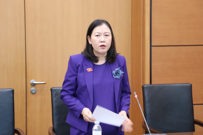 Đại biểu Quốc hội đề nghị bổ sung quy định Buồng tạm giữ cho Công an đặc khu -0