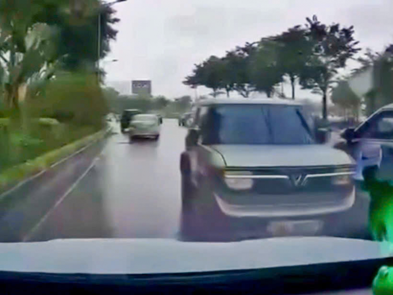 08cf7587a0dc2c8275cd.jpg -0