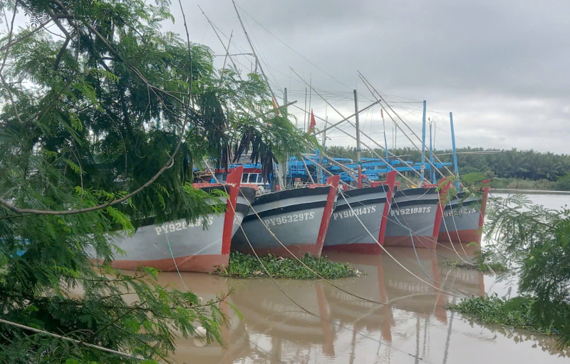 Công an xã, phường ven biển Khánh Hòa, Đắk Lắk giúp dân “đón bão” Kalmaegi với tâm thế sẵn sàng -0