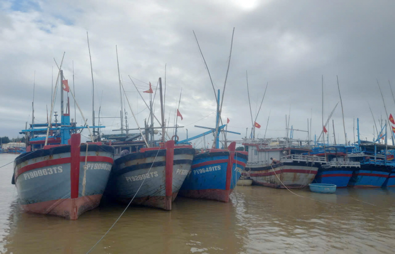 Công an xã, phường ven biển Khánh Hòa, Đắk Lắk giúp dân “đón bão” Kalmaegi với tâm thế sẵn sàng -1