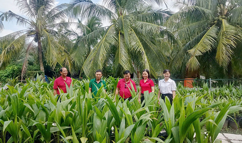 Agribank chi nhánh Trà Vinh đồng hành phát triển đặc sản Dừa sáp -0