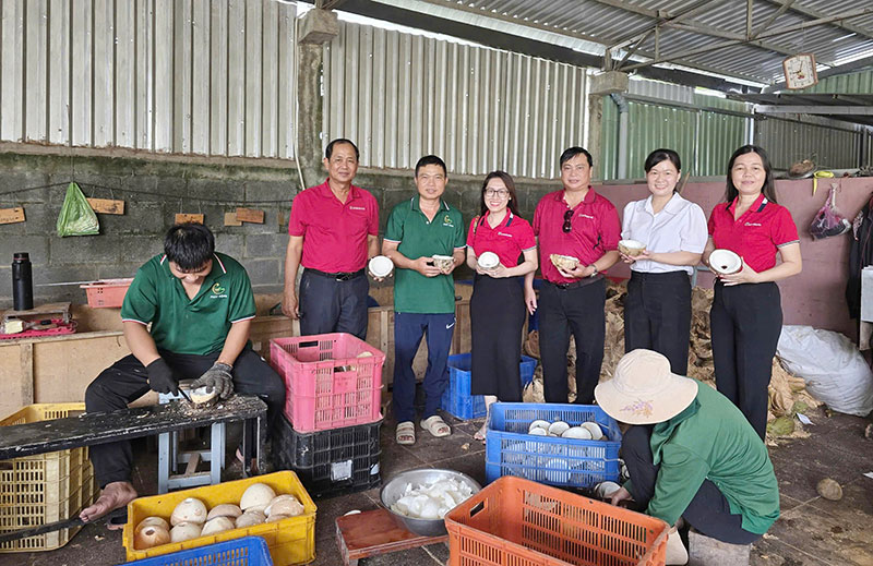 Agribank chi nhánh Trà Vinh đồng hành phát triển đặc sản Dừa sáp -0