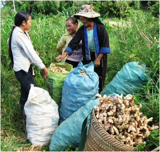 Dòng vốn “ngọt” tiếp sức khát vọng biên cương -0