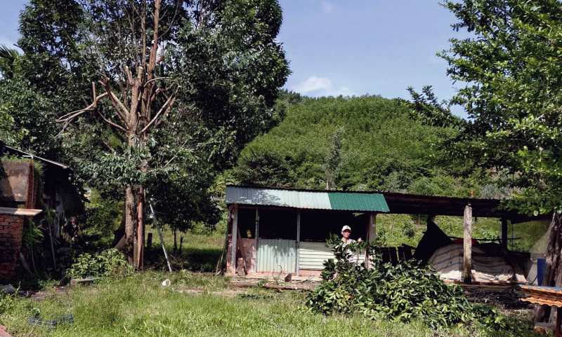 Khẩn trương giúp người dân ứng phó bão số 13 -0