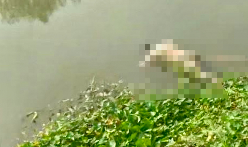 Phát hiện thi thể nghi là tài xế taxi công nghệ rơi cầu Sài Gòn mất tích -0