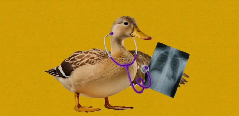 Phần mềm tâm sự Chatbot AI  hại nhiều hơn lợi -0