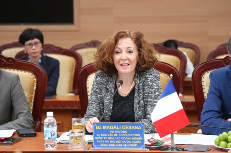 Diễn đàn Đối thoại cấp cao thường niên về kinh tế Việt Nam - Cộng hòa Pháp -0