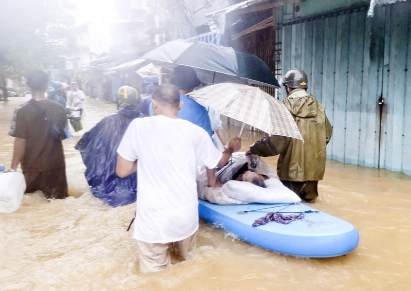 Sắc xanh hy vọng giữa cơn lũ dữ -0