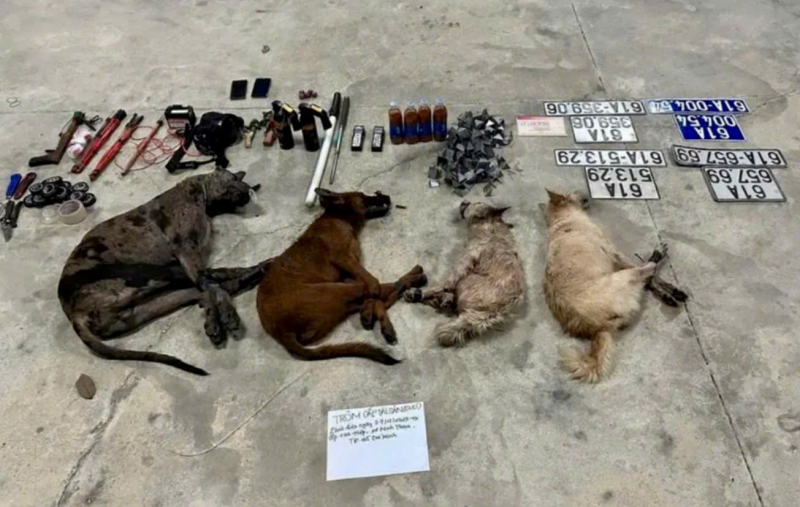 Bị truy đuổi, nhóm trộm chó bỏ ô tô cùng nhiều dụng cụ để thoát thân -0