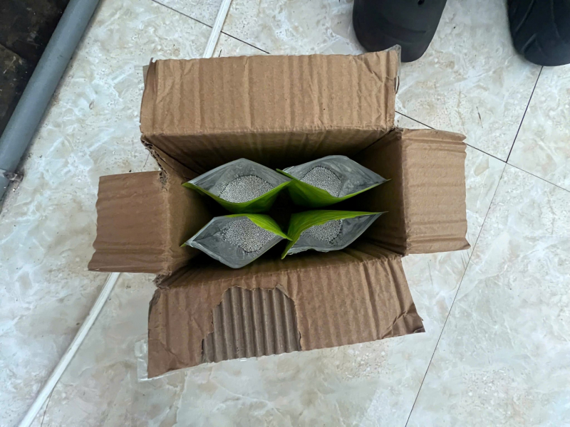 Khởi tố 5 đối tượng vận chuyển bạc qua biên giới -0