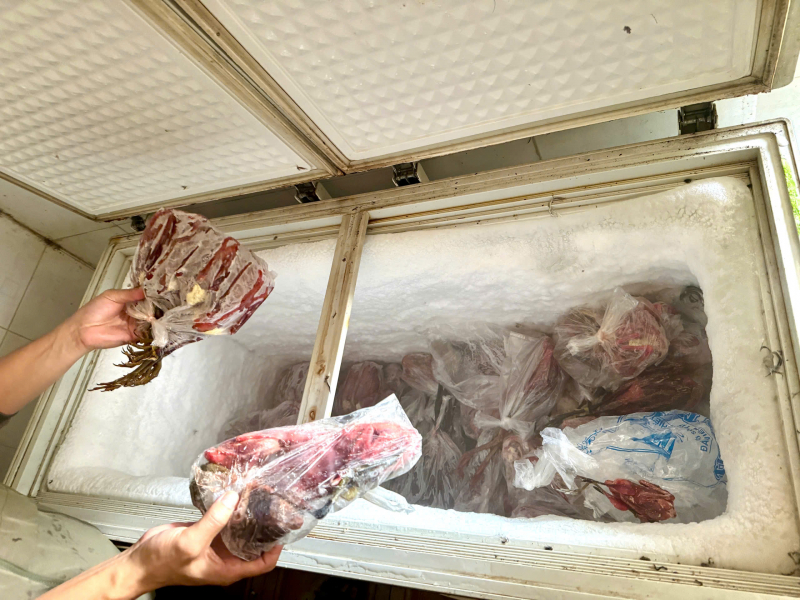 Liên tiếp phát hiện hàng ngàn cá thể chim hoang dã bị đánh bắt và kinh doanh trái phép -0