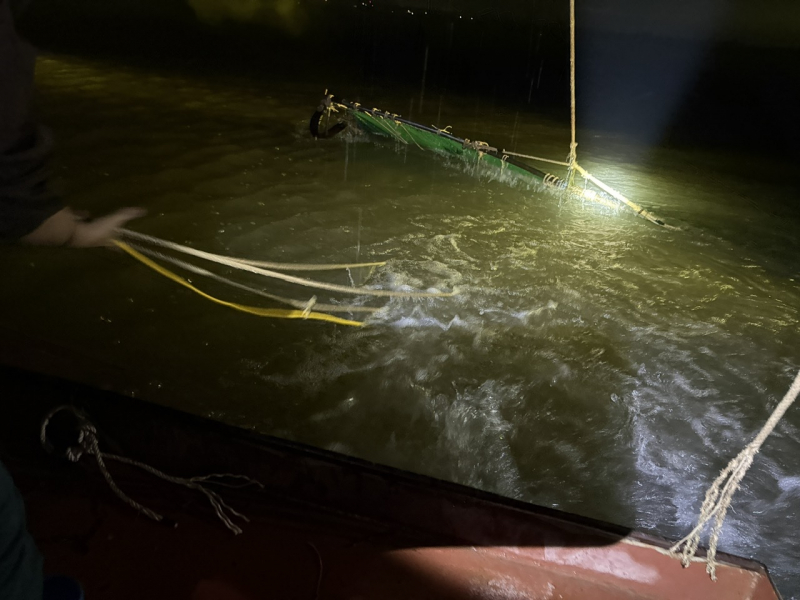 Liên tiếp phát hiện hàng ngàn cá thể chim hoang dã bị đánh bắt và kinh doanh trái phép -0