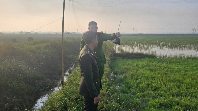 Liên tiếp phát hiện hàng ngàn cá thể chim hoang dã bị đánh bắt và kinh doanh trái phép -0