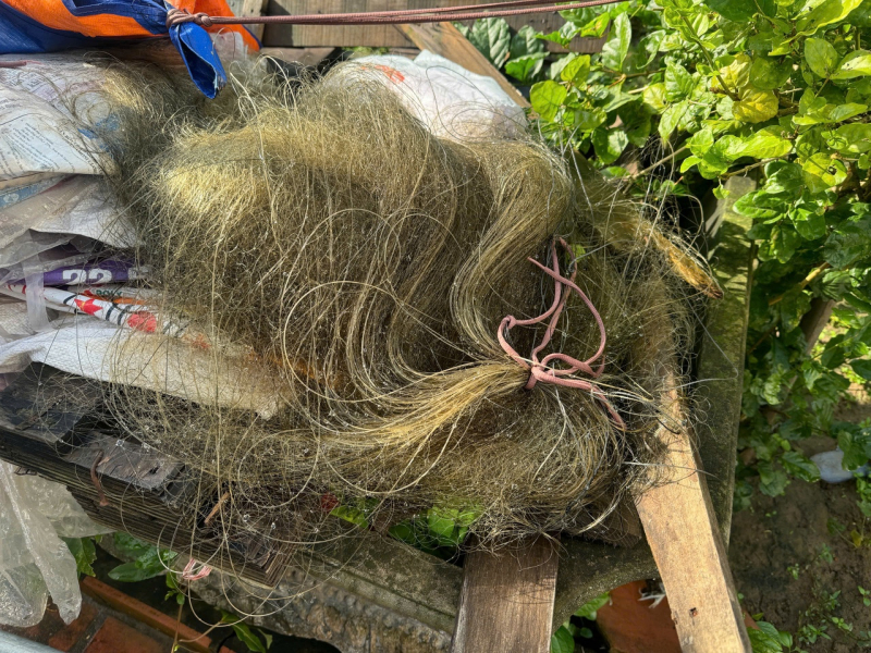 Liên tiếp phát hiện hàng ngàn cá thể chim hoang dã bị đánh bắt và kinh doanh trái phép -0