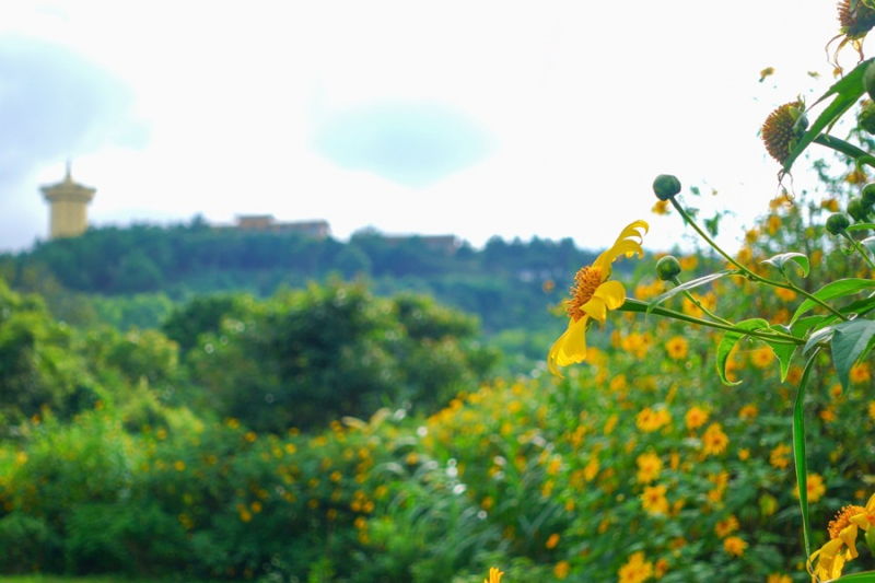 Thời gian, tâm hồn lắng đọng ở Samten Hills Dalat -0