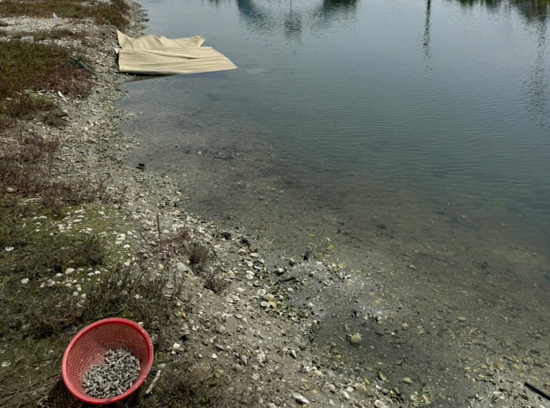 Phát hiện hai chị em gái chết dưới đìa nuôi tôm khi đi bắt ốc -0