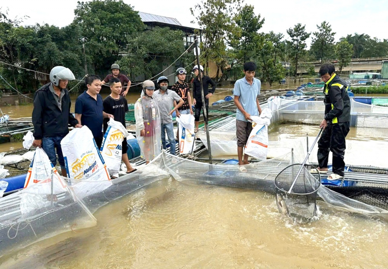 Huế khẩn trương khôi phục sản xuất,  ổn định đời sống người dân sau bão lũ  -0