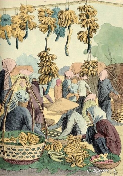 Từ con vét đến con chôm chôm -0