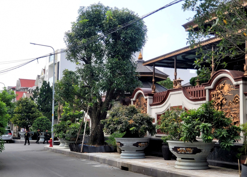 Kiểm tra, khám xét căn