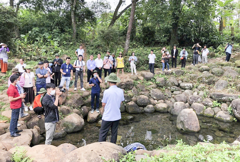 du khách thích thú t%3fn hu%3fng khung c%3fnh di%3fn viên tho m%3fng ch%3f có %3f gio an..jpg -0