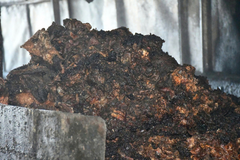 Đà Nẵng: Cơ sở chế biến mỡ bẩn nằm giữa nghĩa trang chuẩn bị 