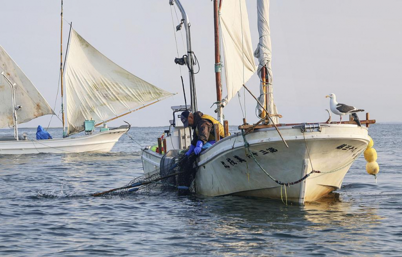 Căng thẳng ngoại giao leo thang, Trung Quốc ngừng nhập khẩu thuỷ sản Nhật Bản -0