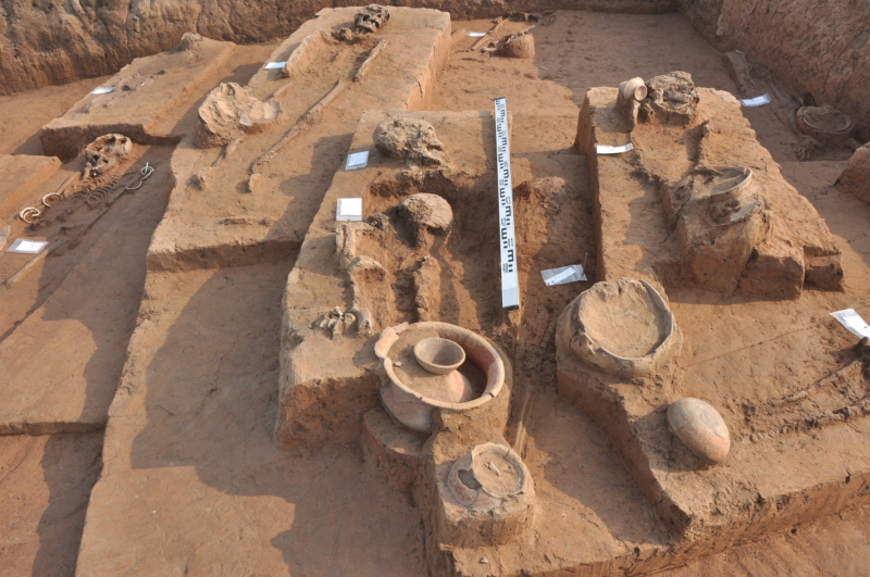 bananträdgård 2.jpg -0