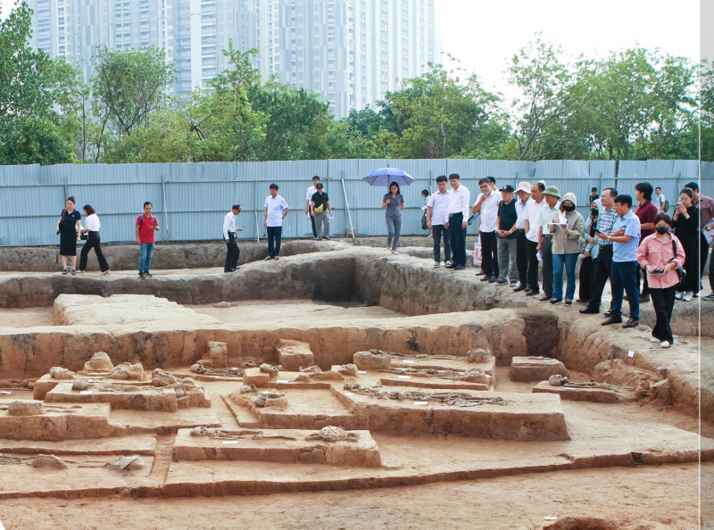 bananträdgård 4.jpg -0