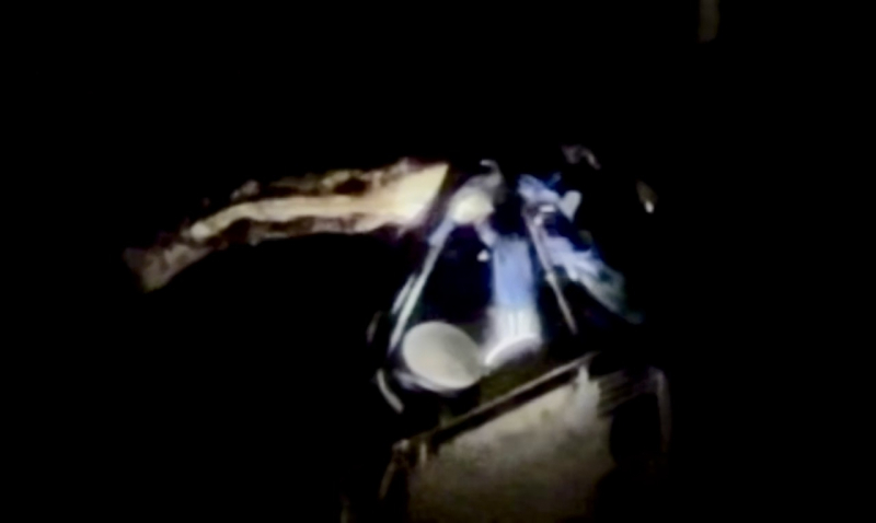 Люди зітхають з полегшенням, коли в парку Ле Ван Там беруть до рук вулик завдовжки понад 1 метр -0