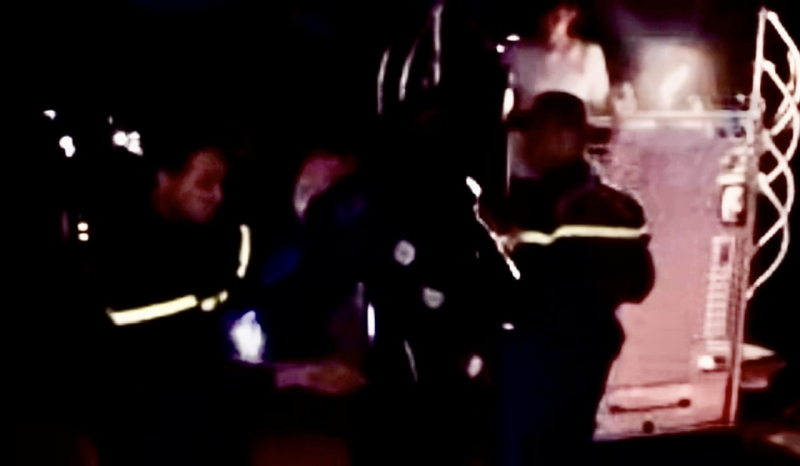 Люди зітхають з полегшенням, коли в парку Ле Ван Там беруть до рук вулик завдовжки понад 1 метр -0