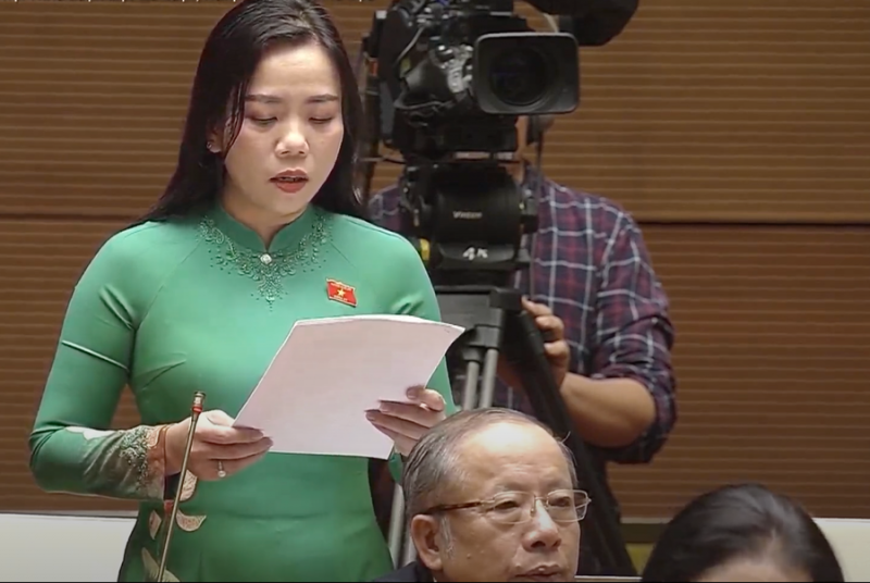 trịnh thị ngọc diễm.png -0