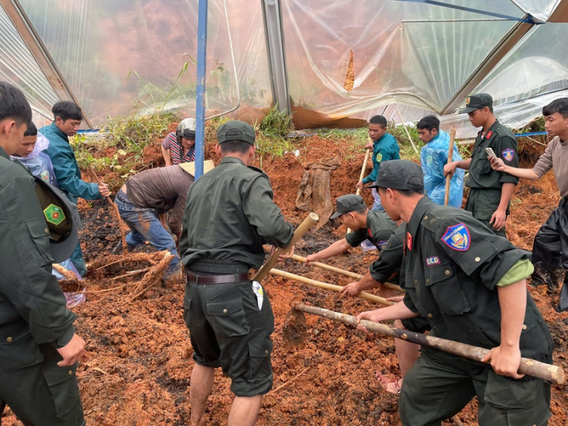 Cặp vợ chồng bị cây đổ đè tử vong trong rẫy -0