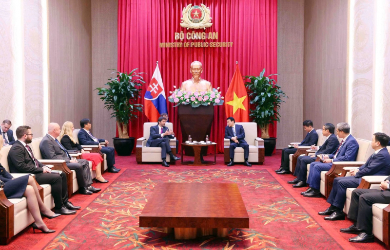 Minister Luong Tam Quang hosts Deputy Prime Minister, Minister of Defence of Slovakia -0