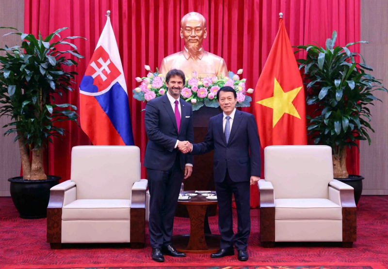 Minister Luong Tam Quang hosts Deputy Prime Minister, Minister of Defence of Slovakia -0
