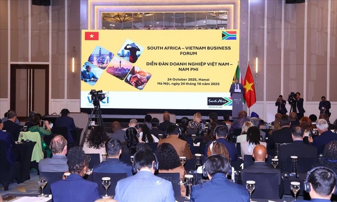 Vietnam, South Africa promote partnership for cooperation, development -0