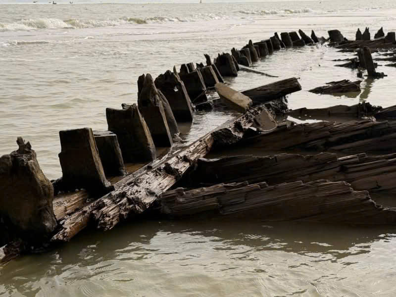 ຜູ້ຊ່ຽວຊານ