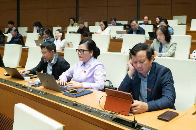 211120250851-a-5.jpg -0