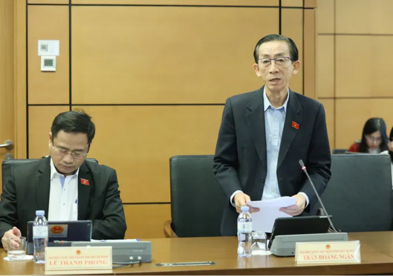 trần hoàng ngân.png -0