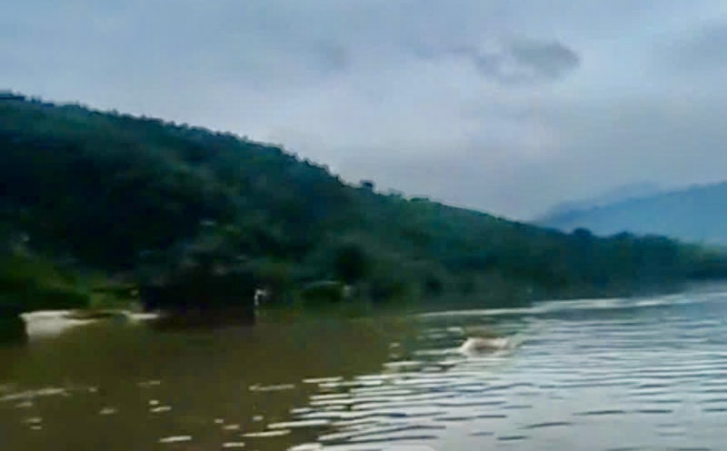 Leiche eines von den Fluten mitgerissenen Sattelzugfahrers in Quang Tri gefunden -0