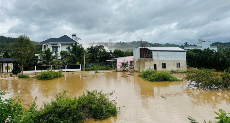 Begäran om att vattenkraftverk i Lam Dong ska öka vattenutsläppet för att skapa kapacitet för att förebygga översvämningar -0