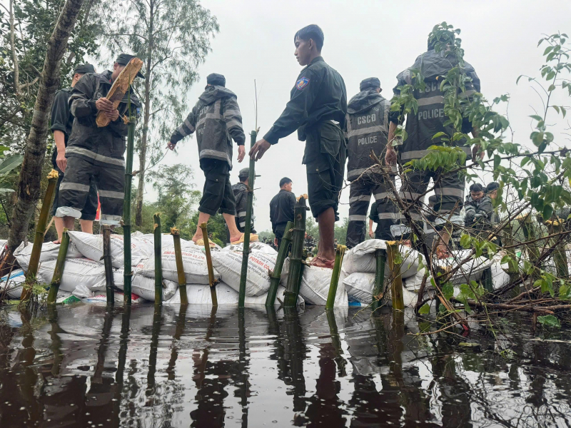 3-1763818286211.jpeg -0