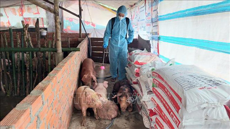 ca-mau-231125-1.jpg -0