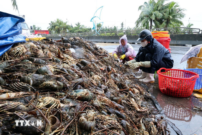 Hỗ trợ khẩn cấp 1.100 tỷ đồng cho 4 tỉnh Khánh Hòa, Lâm Đồng, Gia Lai và Đắk Lắk -0