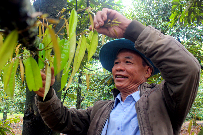 กระจก 1.jpg -0