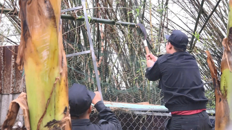 z7254095266955_cd64948c3e04029703f07dfd30de3fc3.jpg -1