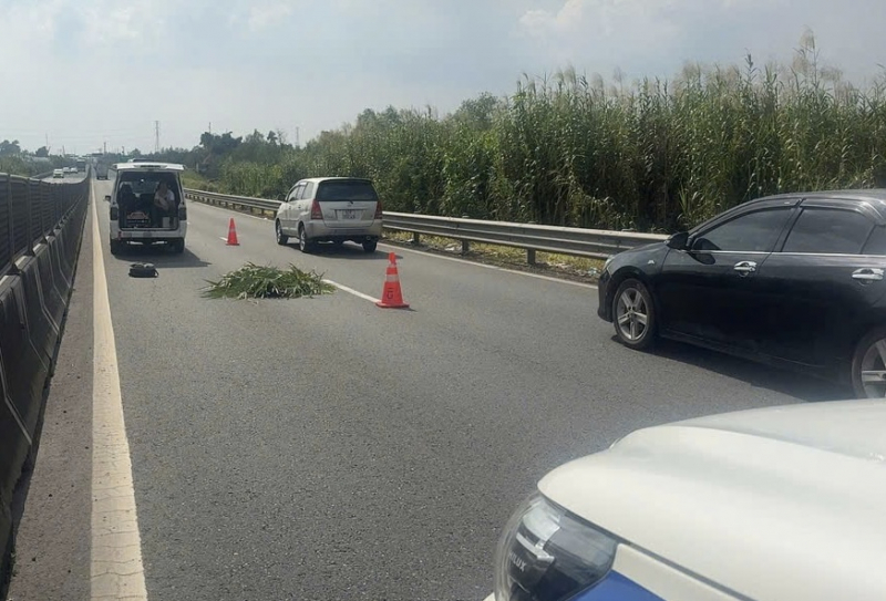 Điều tra việc phát hiện thi thể người nước ngoài trên cao tốc Trung Lương - Mỹ Thuận -0